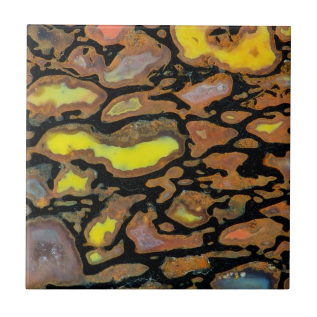 Carreau Os de dinosaure multicolore (Devant)