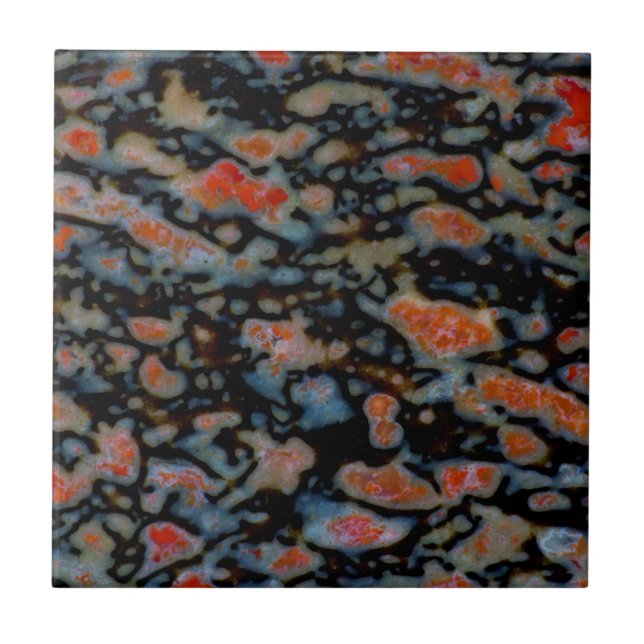 Carreau Os de dinosaure petrifié coloré (Devant)