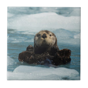 Carreau Otter flottante