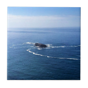 Carreau Otter Rock, Cape Foulweather, Newport, Oregon