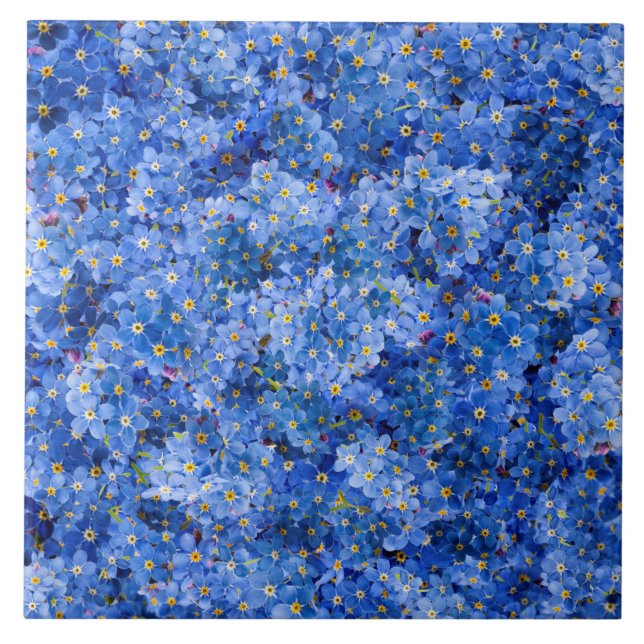 Carreau Oublie-moi pas Motif de fleurs (Devant)