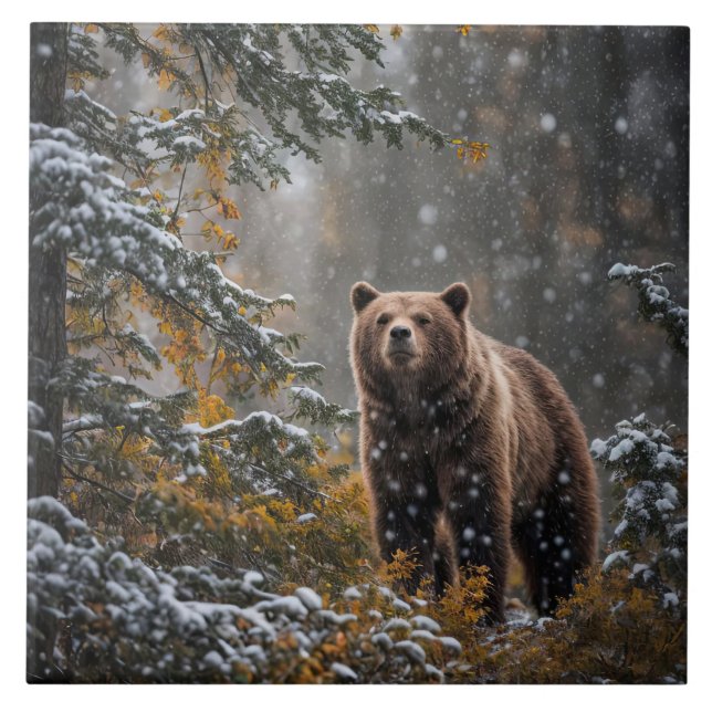 Carreau Ours en pleine nature Neige d'hiver (Devant)