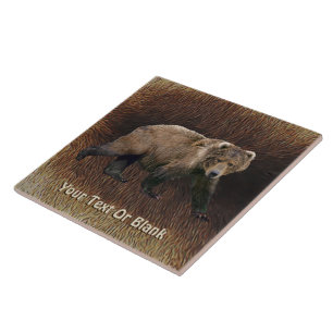 Carreau Ours Kodiak Sur Fourrure De Caribou