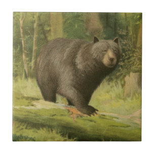 Carreau Ours noir sur un tronc d'arbre