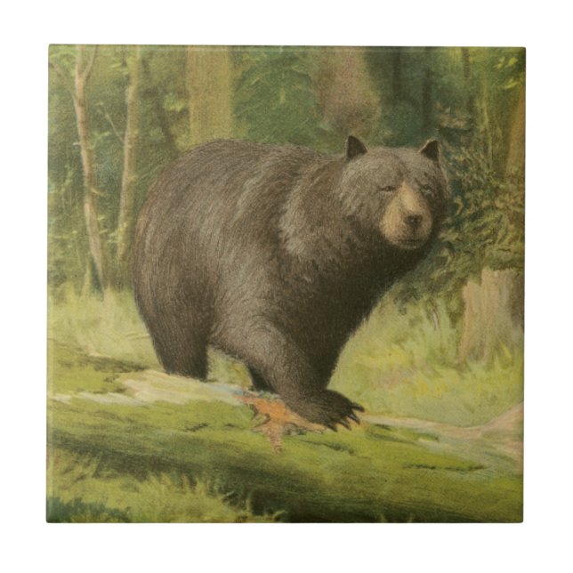Carreau Ours noir sur un tronc d'arbre (Devant)