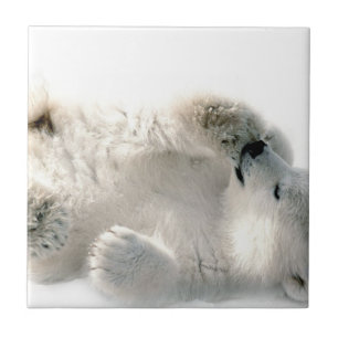 Carreau Ours polaire Cube Animal Arctic Froid Hiver