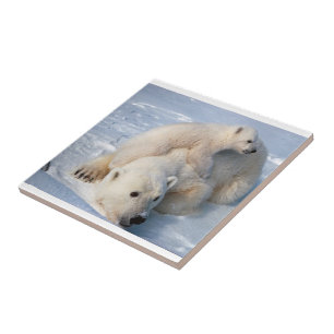 Carreau Ours polaire en céramique