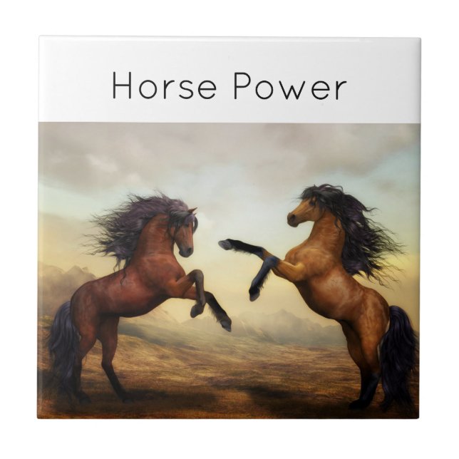 Carreau paire de chevaux sauvages (Devant)