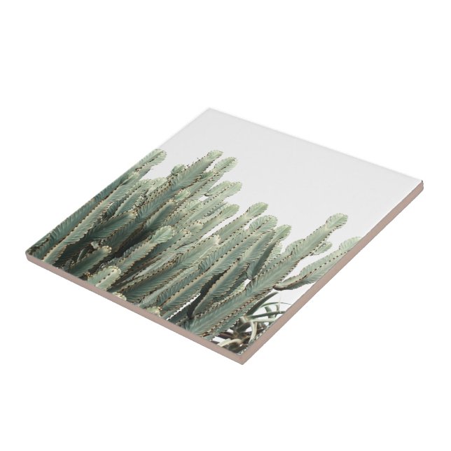 Carreau Pale Green Cactus Motif Plante (Côté)