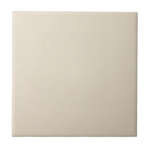 Carreau Pale Taupe solide
