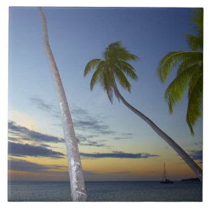 Carreau Palmiers et coucher de soleil, Plantation Island R