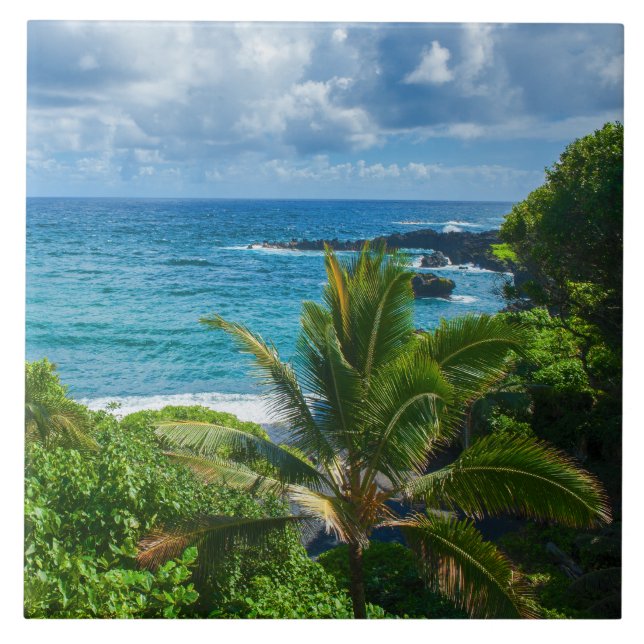 Carreau Palmiers marins tropicaux Blue Hawaii (Devant)