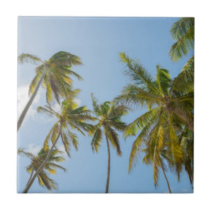 Carreau Palmiers Tropicaux, Plage et Style de vacances