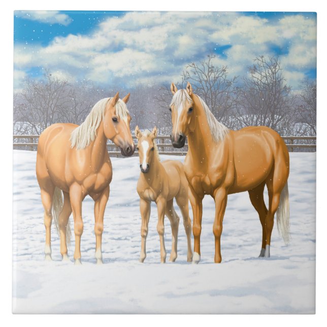 Carreau Palomino Quarter Horses (Devant)