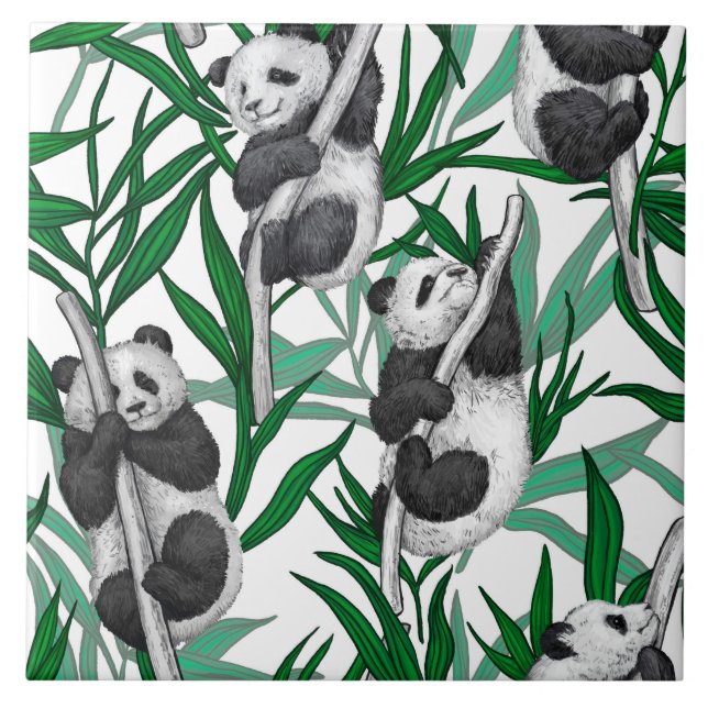 Carreau Panda cubs on (Devant)