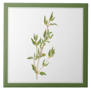 Carreau PANNEAU EN Céramique FRAIS THYME 6x6 (-texte) Vert