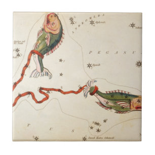 Carreau Panneau "Zodia" : Pisces" en céramique