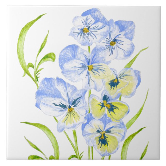Carreau Pansies bleues Icy sur un carrelage en céramique (Devant)