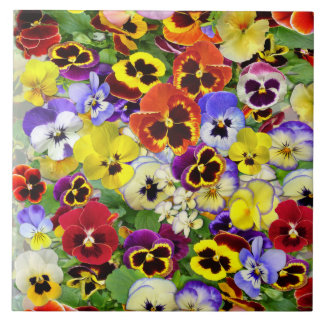 Carreau Pansies colorées