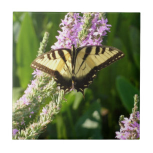 Carreau Papillon à queue d'hirondelle sur des fleurs sauva