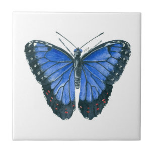 Carreau Papillon bleu Morpho aquarelle peinture