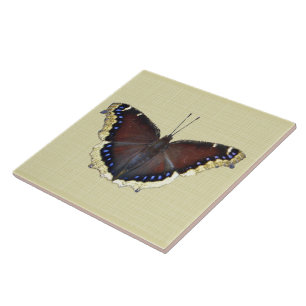 Carreau Papillon en deuil - Nymphalis antiopa