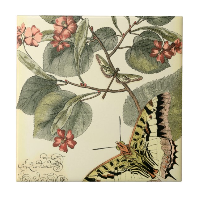 Carreau Papillon et libellule à fleurs rouges (Devant)