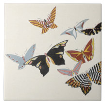 Papillon japonais TC22-04