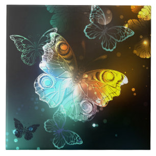 Carreau Papillon lumineux et papillons de nuit