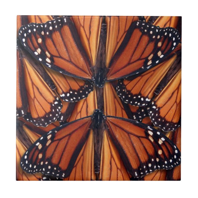 Carreau papillon monarque (Devant)