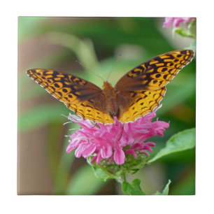 Carreau Papillon Silvery Checkerspot