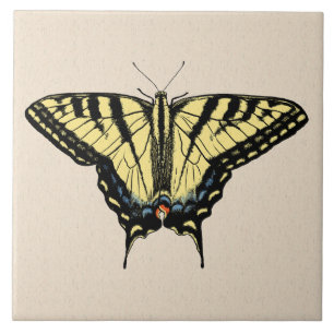 Carreau Papillon Southwestern jaune Swallowtail