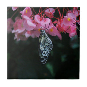 Carreau Papillon suspendu aux fleurs
