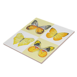 Carreau Papillons sur une Carrelage en céramique ( 2 )