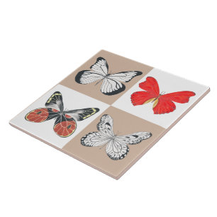 Carreau Papillons sur une Carrelage en céramique ( 5 )