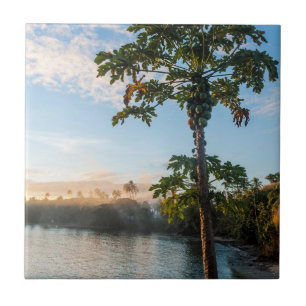 Carreau Paradis tropical au coucher du soleil, Fidji