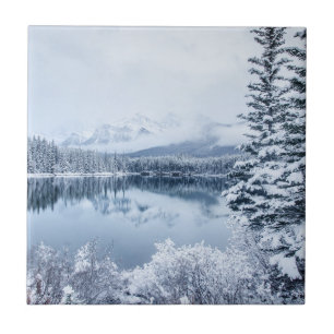 Carreau Parc national de Banff en hiver