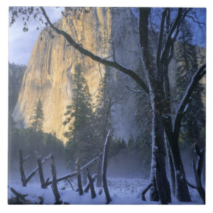Carreau PARC NATIONAL DE YOSEMITE, CALIFORNIE. États-Unis.