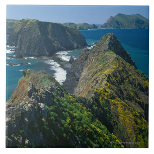 Carreau Parc national des Îles Anglo-Normandes, du sud