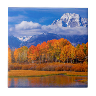 Carreau Parc national grand   Wyoming de Teton