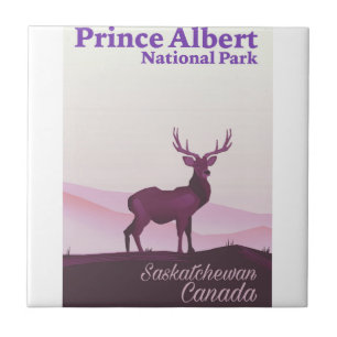 Carreau Parc national Prince-Albert, Saskatchewan, Canada