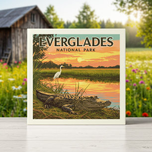 Carreau Parc national vintage des Everglades