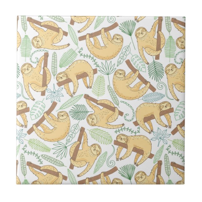 Carreau Paresses accrochantes (Devant)