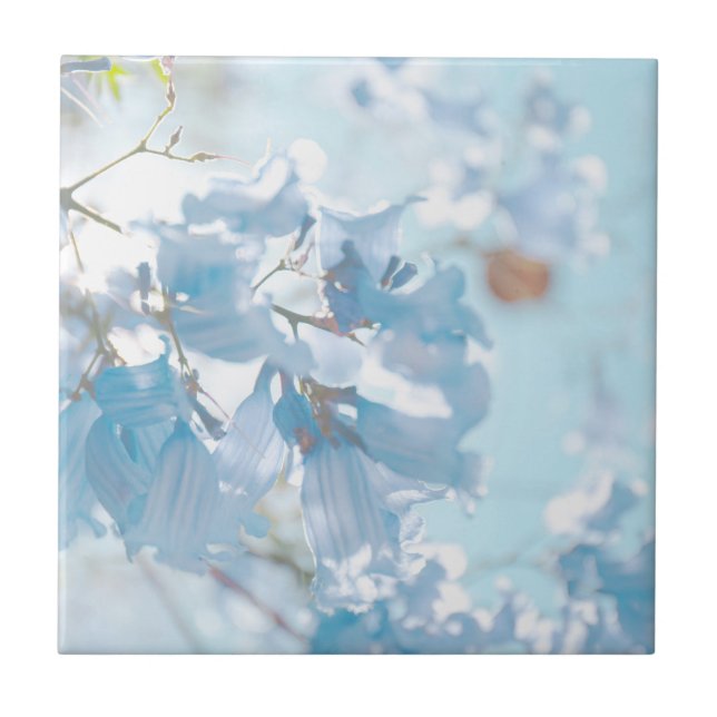 Carreau Pastel Bleu Doux Jacaranda Arbre Fleurs Fleurs (Devant)