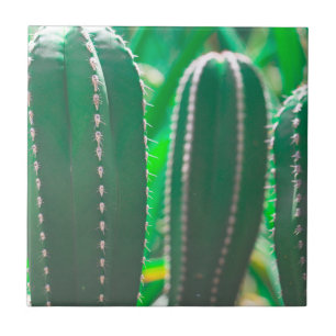 Carreau Pastel Green Cactus plante feuilles