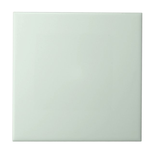 Carreau Pastel Mint Vert couleur solide (Devant)