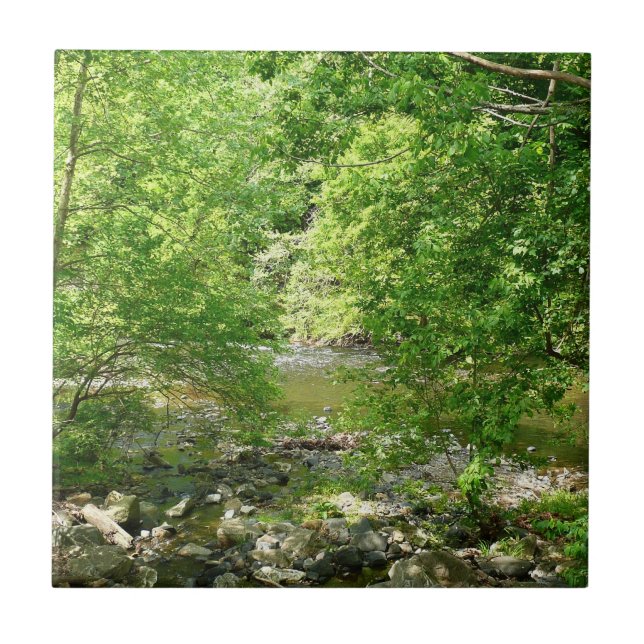 Carreau Patapsco River View Maryland Nature Photographie (Devant)