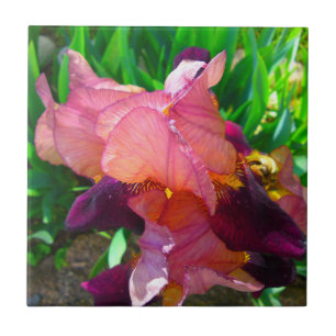 Carreau Patch de fleur Maroon Iris