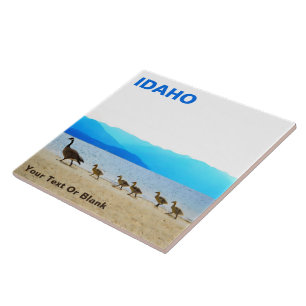 Carreau Patrouille côtière - Oies du Canada