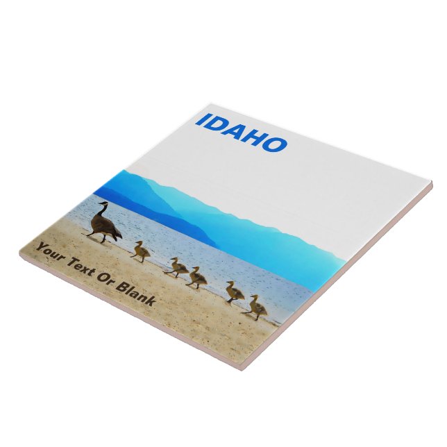 Carreau Patrouille côtière - Oies du Canada (Côté)